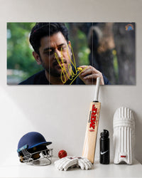 MS Dhoni Signature 3 Piece Poster Set premium artwork 1