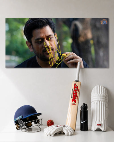 MS Dhoni Signature 3 Piece Poster Set premium artwork 1